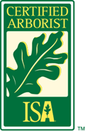 ISA Certified Arborist